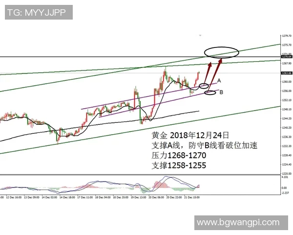 冰雪赛事防守榜新规发布强化防守策略提升比赛公平性